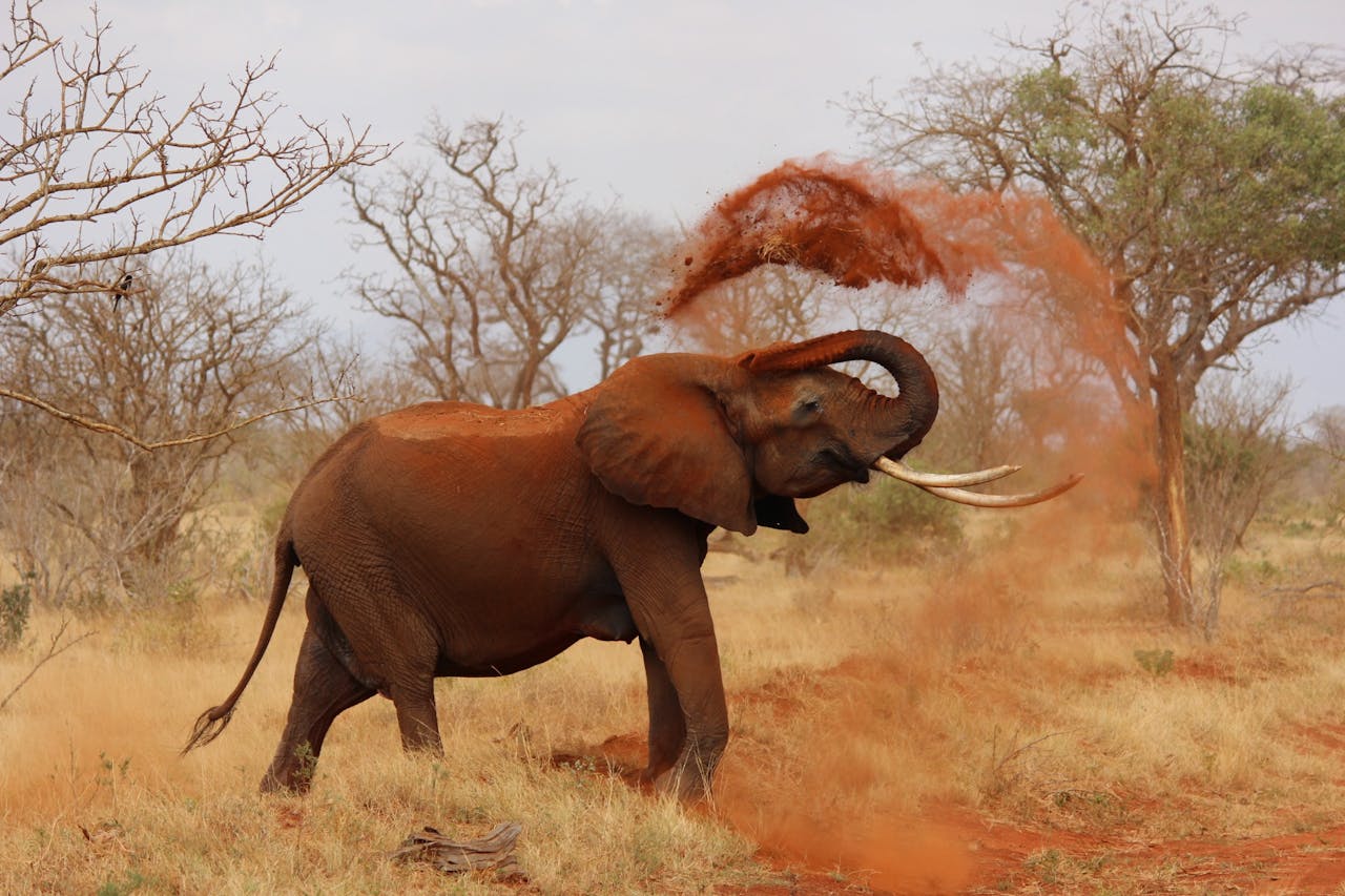 Africa cruise destination
