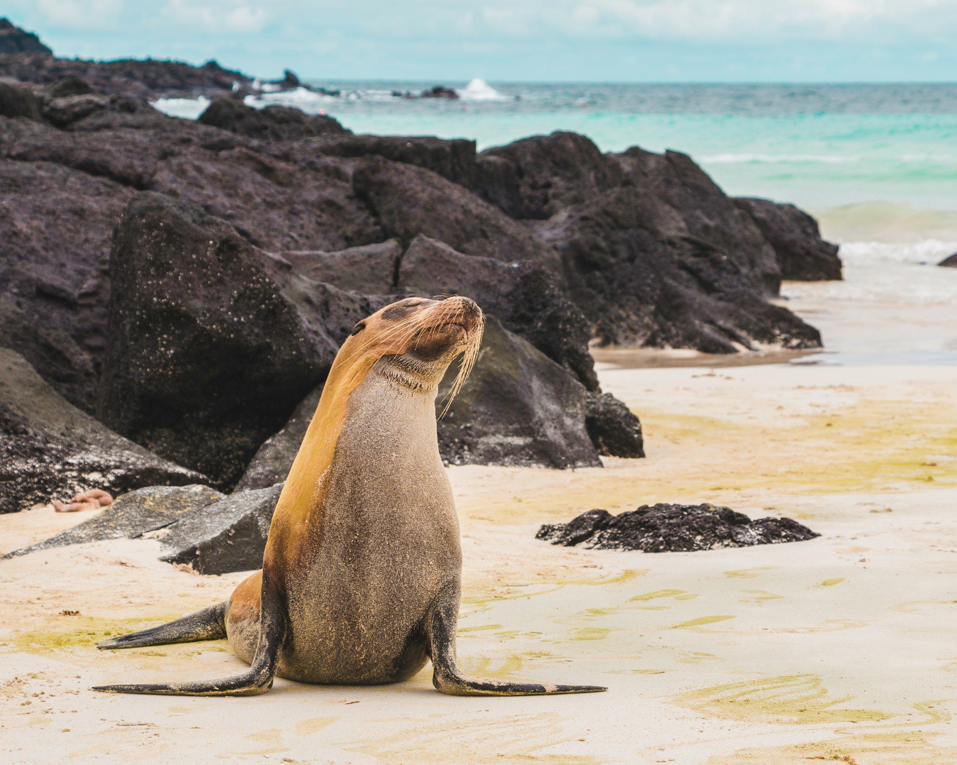Galapagos cruise destination