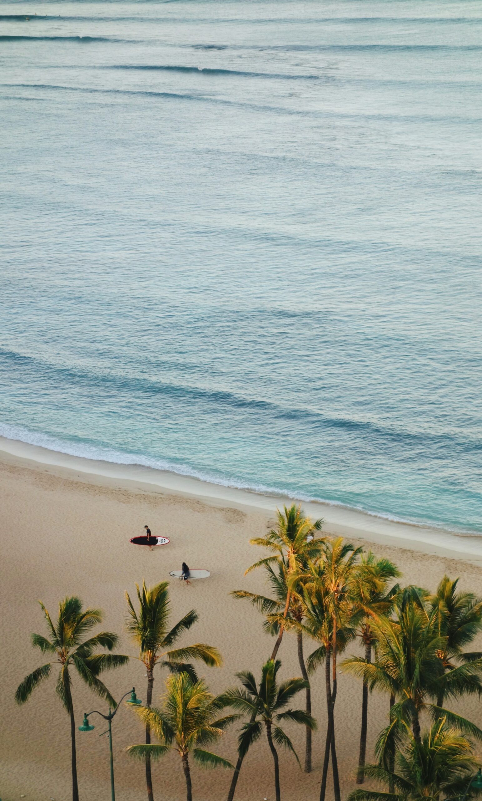 Hawaii and Mexico cruise destination